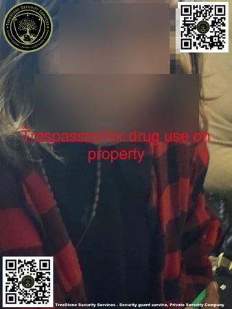 Images TreeStone Security Services