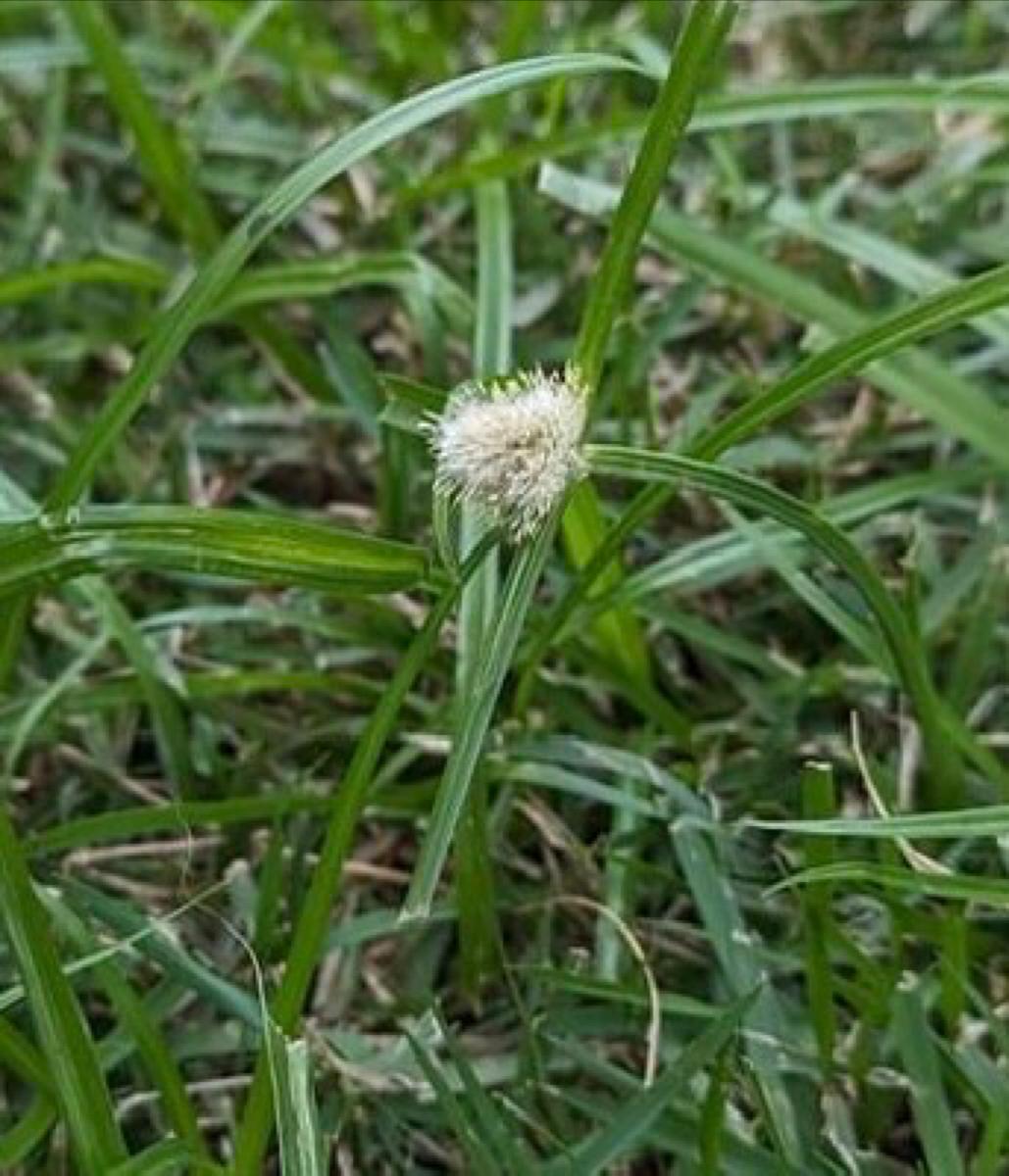 Images Gilba Solutions Pty Ltd