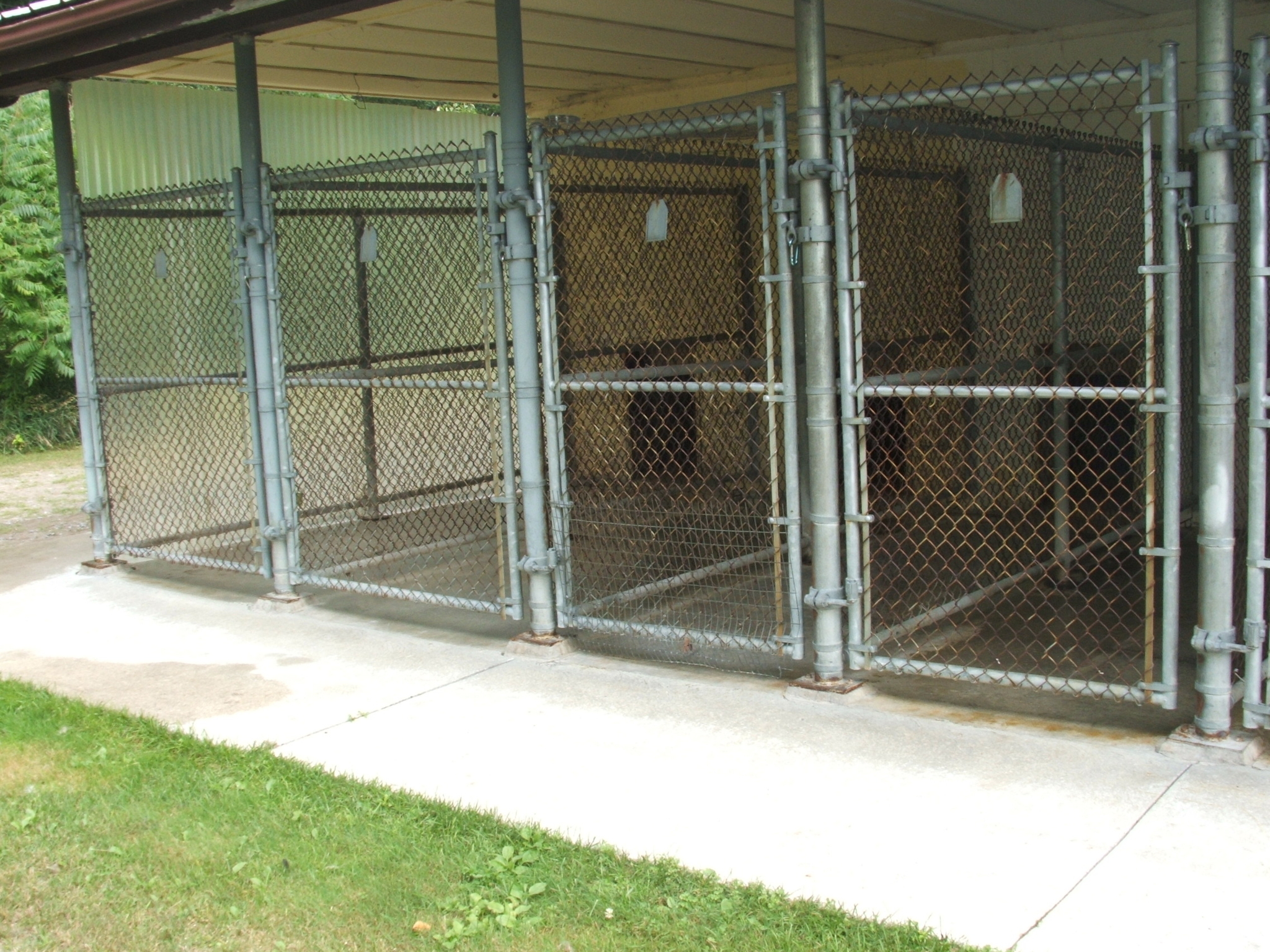 Country Kennels, Baltimore ON | Ourbis