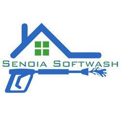 Senoia Softwash Logo