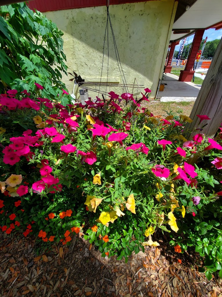 Bz's Happy Plants Image