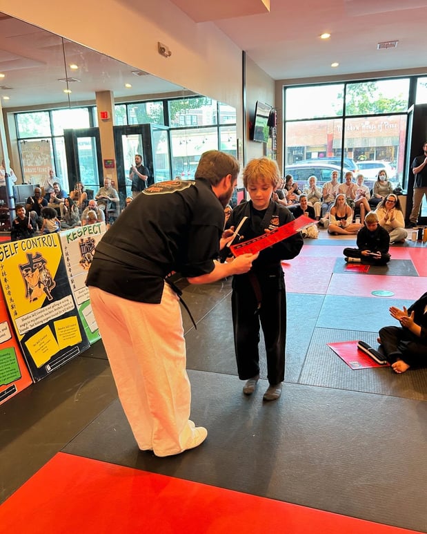 Images SDSS Martial Arts of Newton