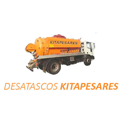 Desatascos Kitapesares Logo