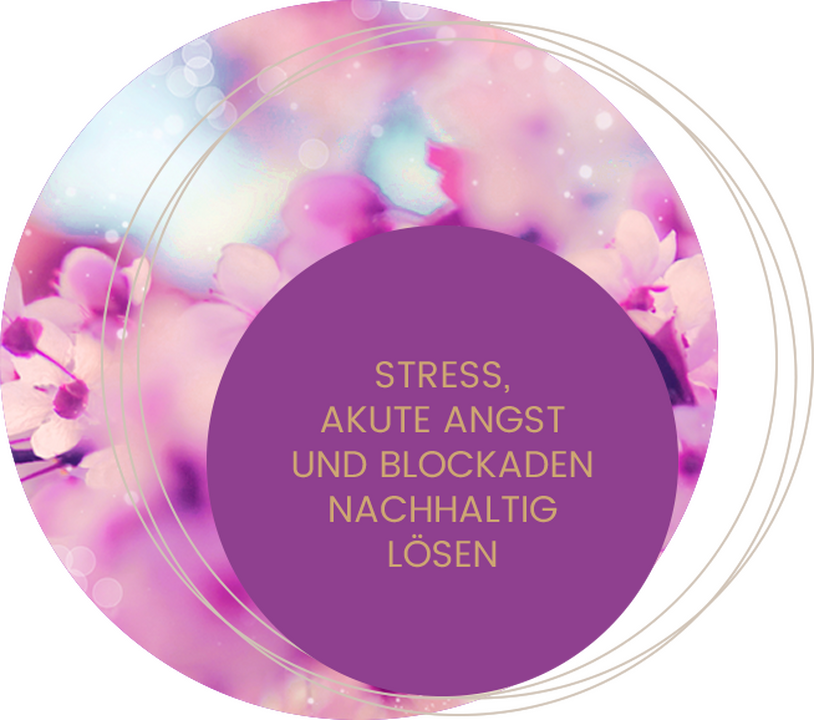 Life Coaching & Persönlichkeitstraining Martina Brandt in Winsen an der Aller - Logo