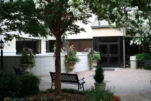 Images Top Notch Lawns