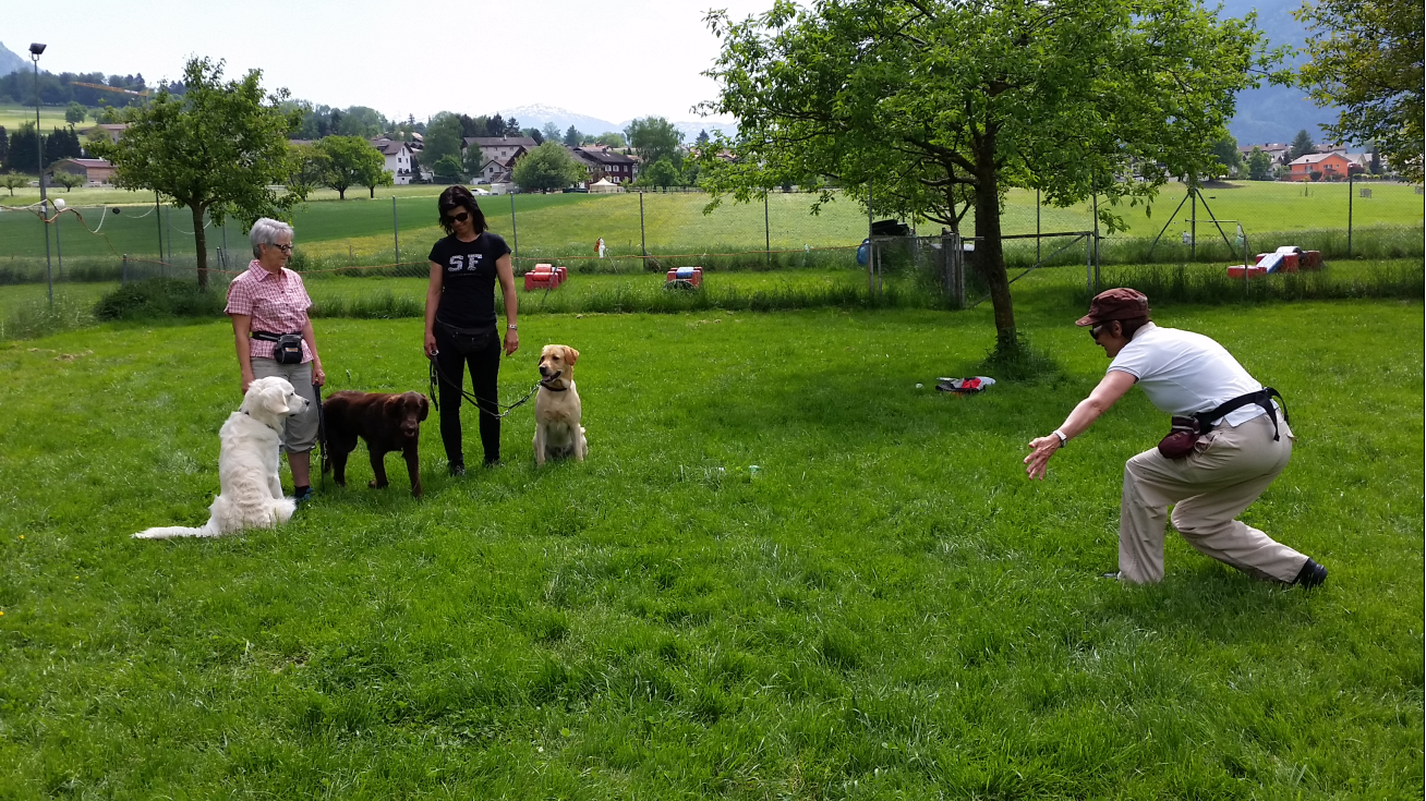 Dog Academy, Zinggliweg 1 in Malans GR