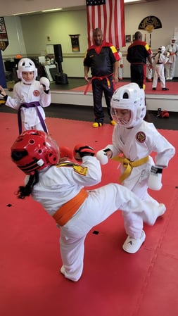Images Jaguar Dojo