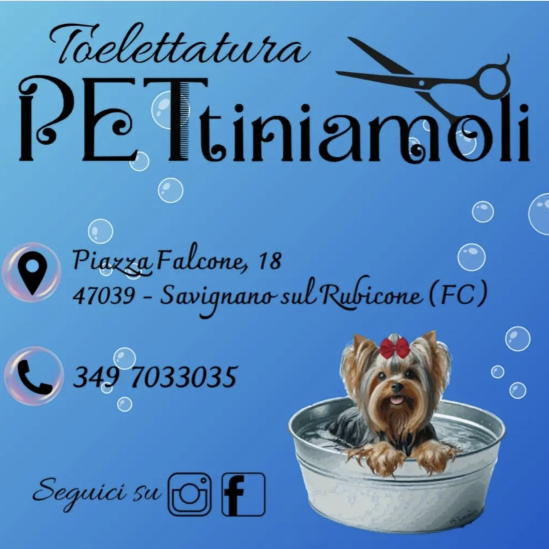 Images PETtiniamoli