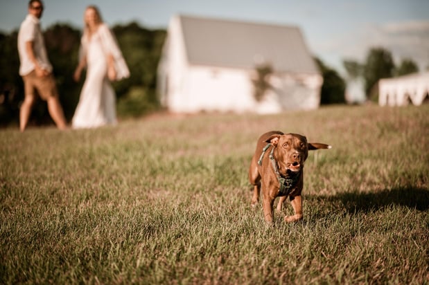 Images On Sunny Slope Farm