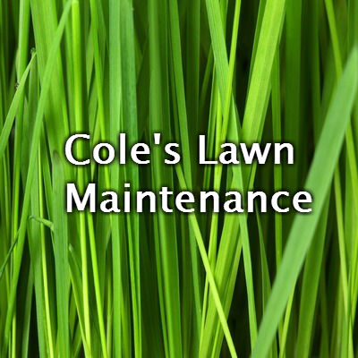 Cole's Lawn Maintenance