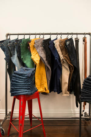 Images Bonobos