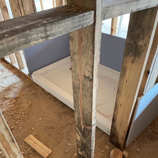 Images Pure Air Mold Removal Macomb