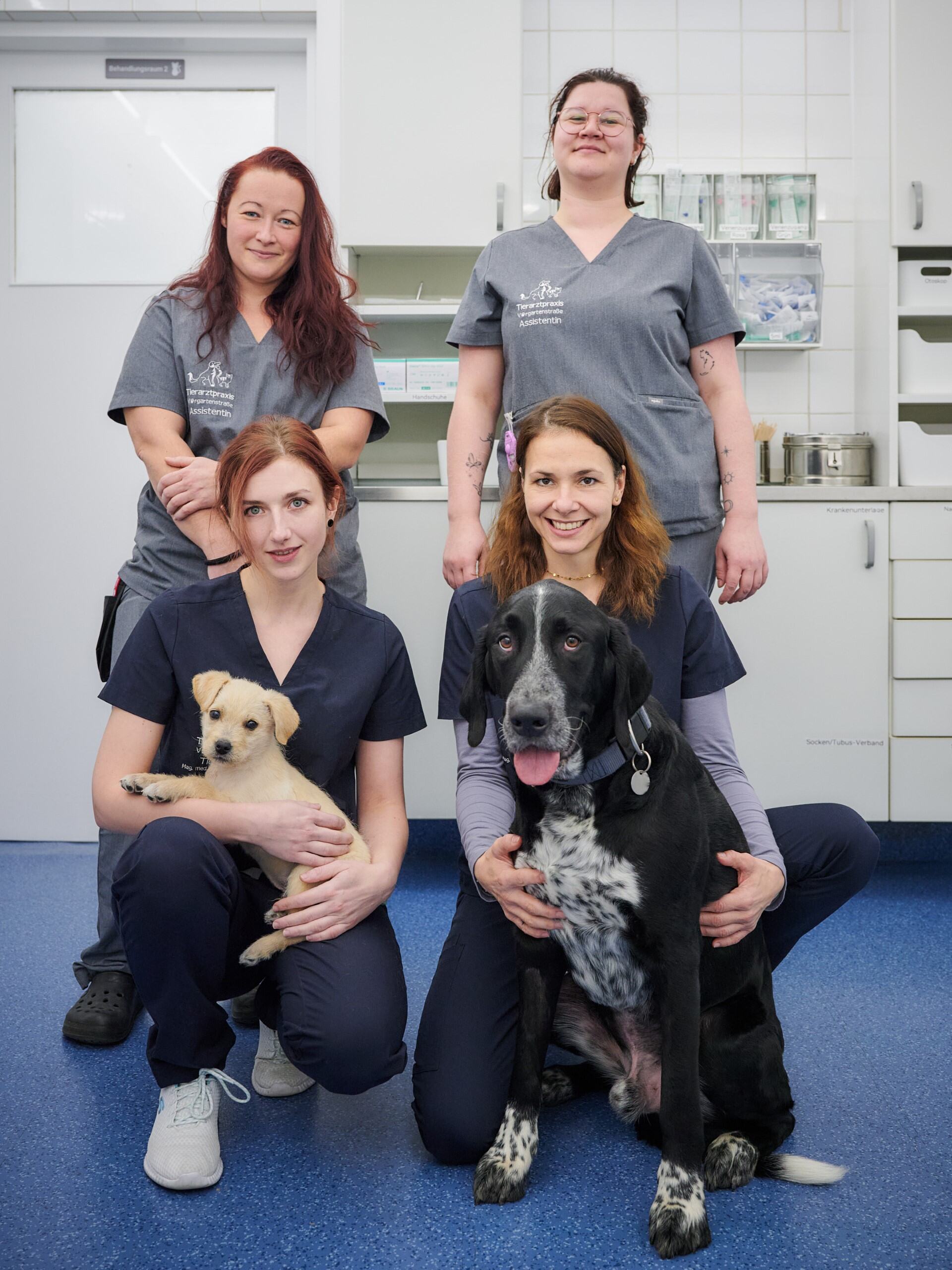 Bild 3 von Tierarztpraxis Vorgartenstraße