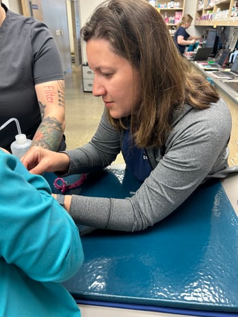 Images Vetco Total Care Animal Hospital