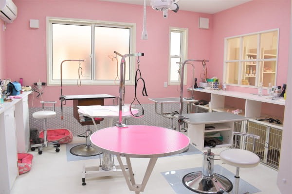 Images わんわんスタイルANNE