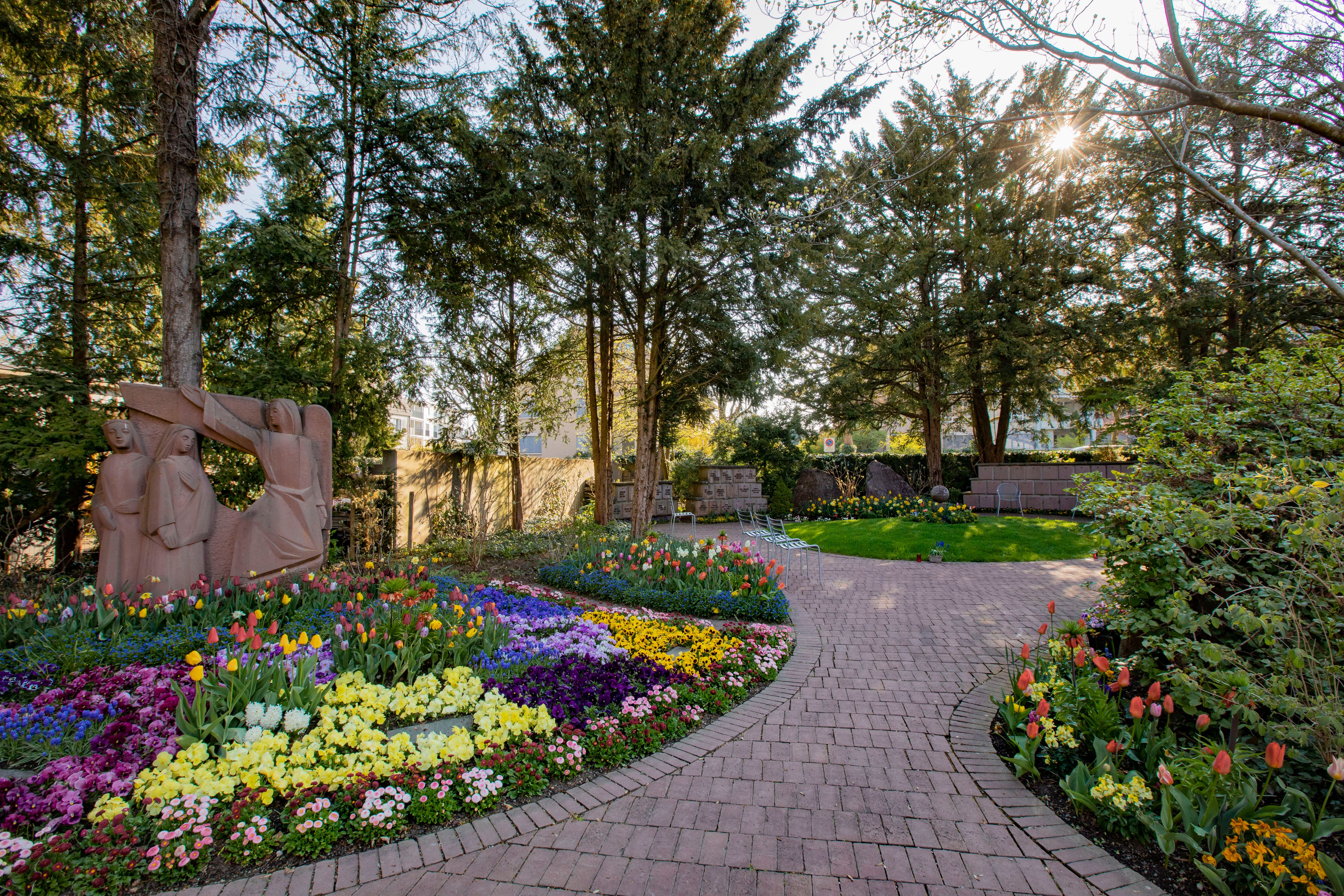 Bilder Peter Meier Gartenbau AG