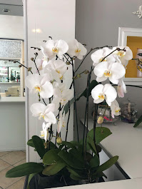 Images Merci Blow Dry Bar