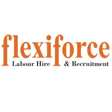 Flexiforce Logo