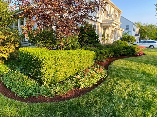 Images Superior Service Lawn Care