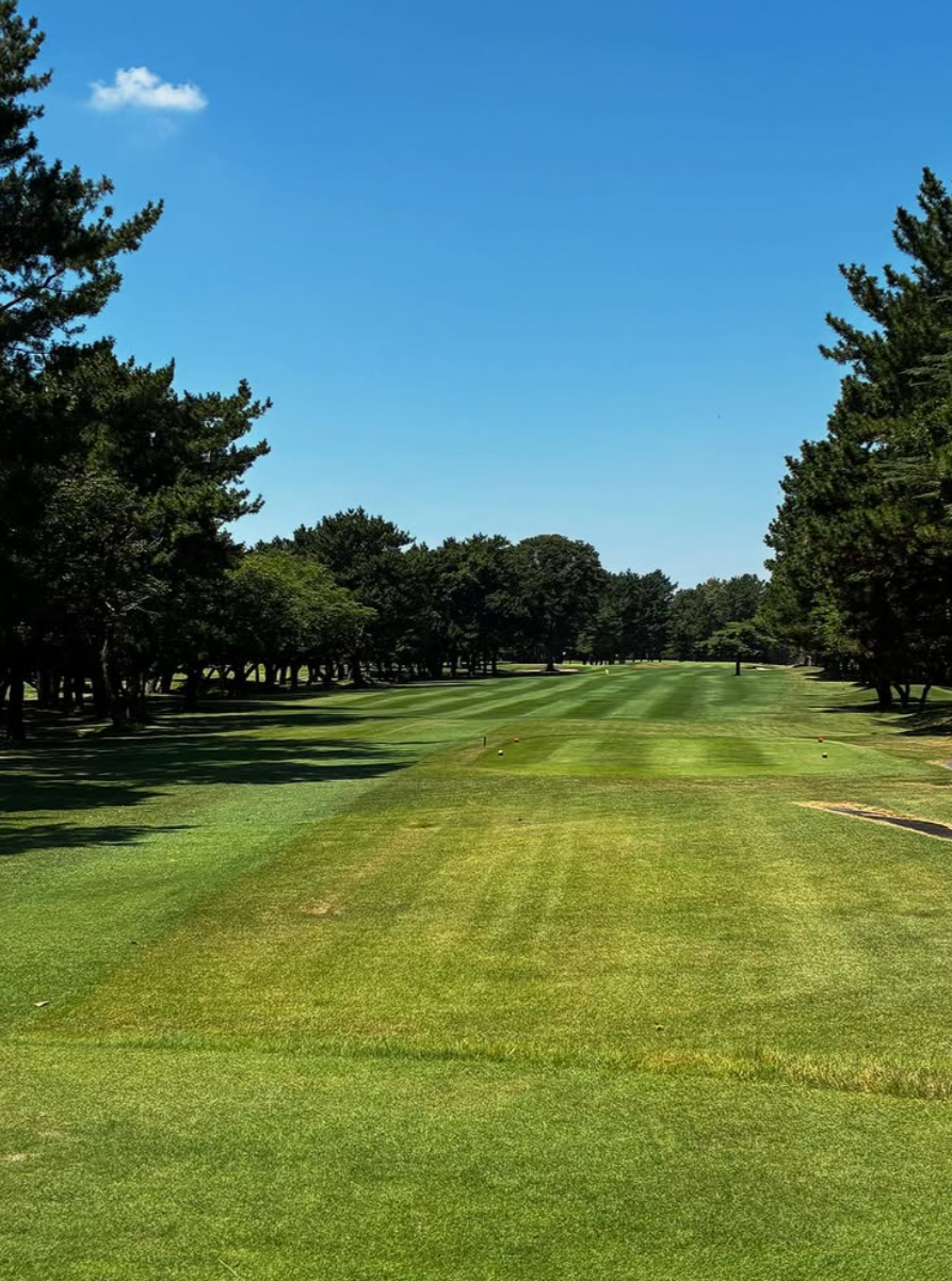 Images VZONEGOLF