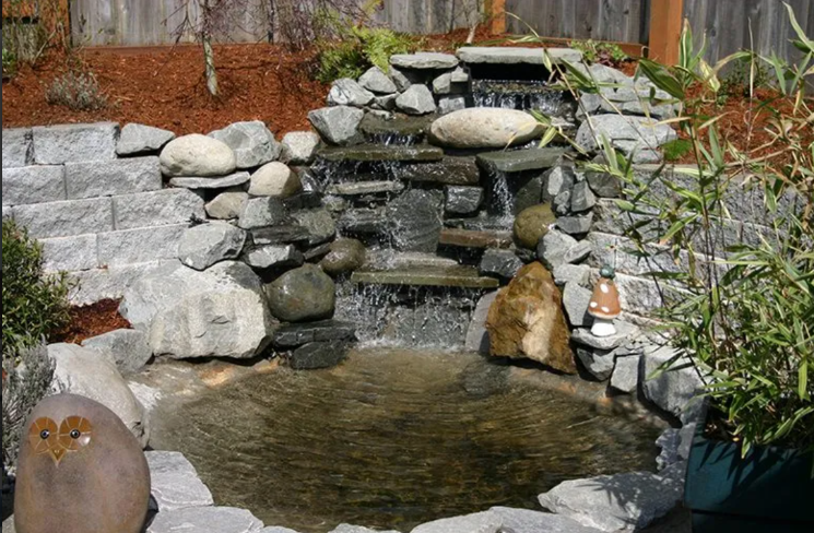 Evergreen Valley Landscape Image