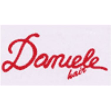 Parrucchiere Daniele Hair Logo