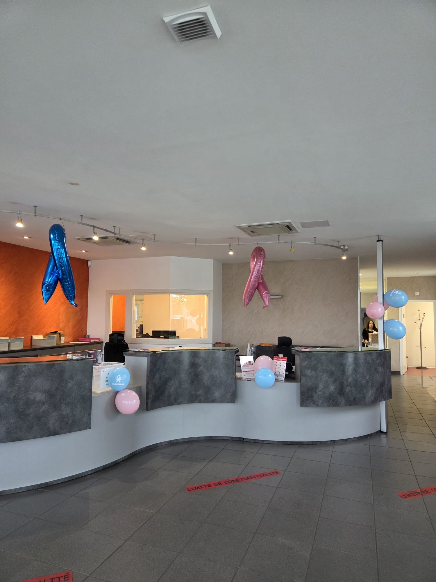 galerie image