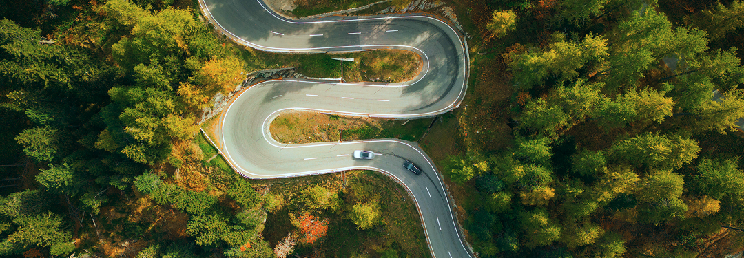 A winding road through a forest.