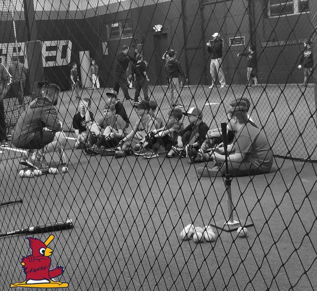 Images St. Louis Redbirds Baseball