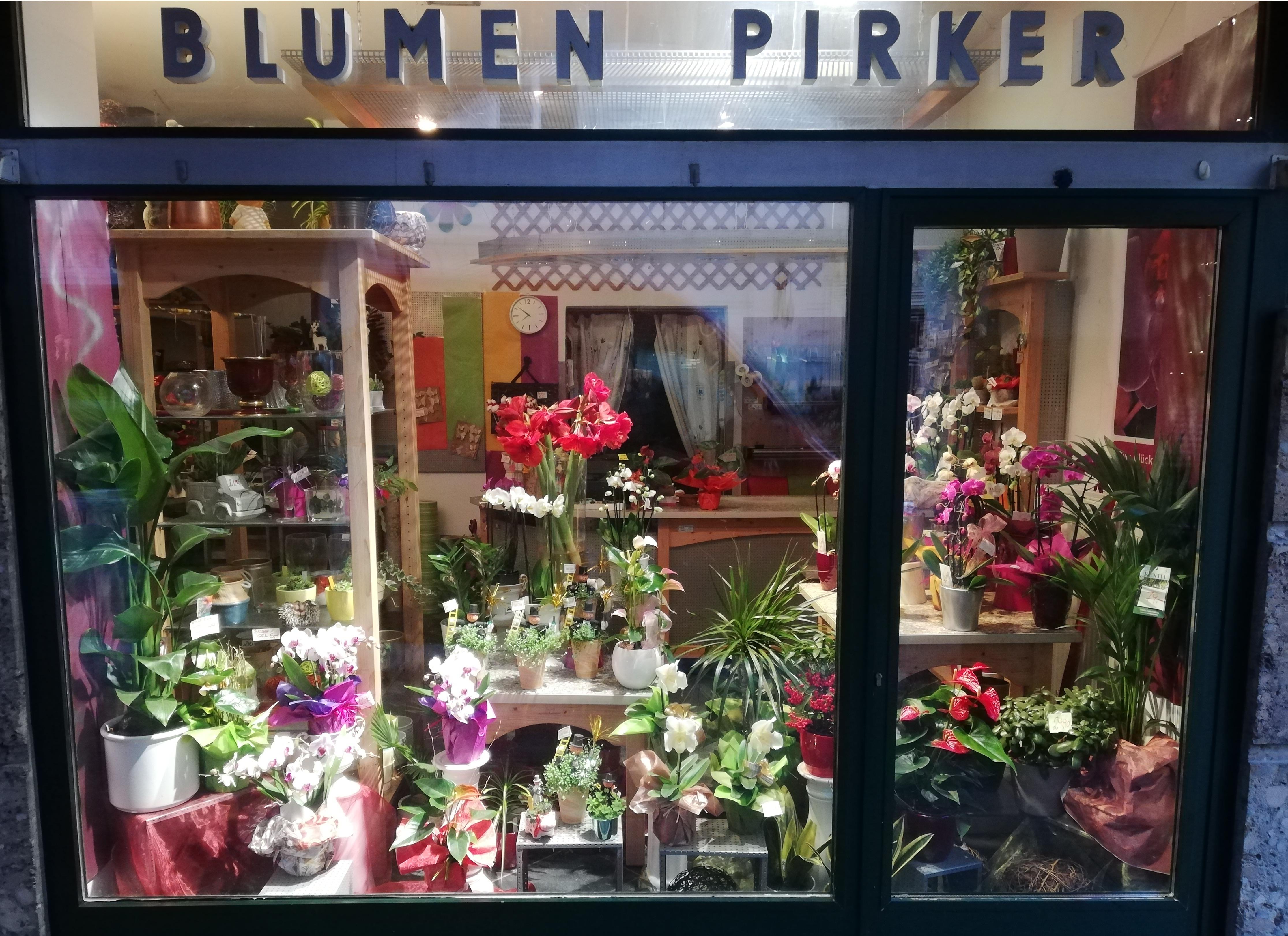 Blumen Pirker, Kirchengasse 2 in Krems an der Donau
