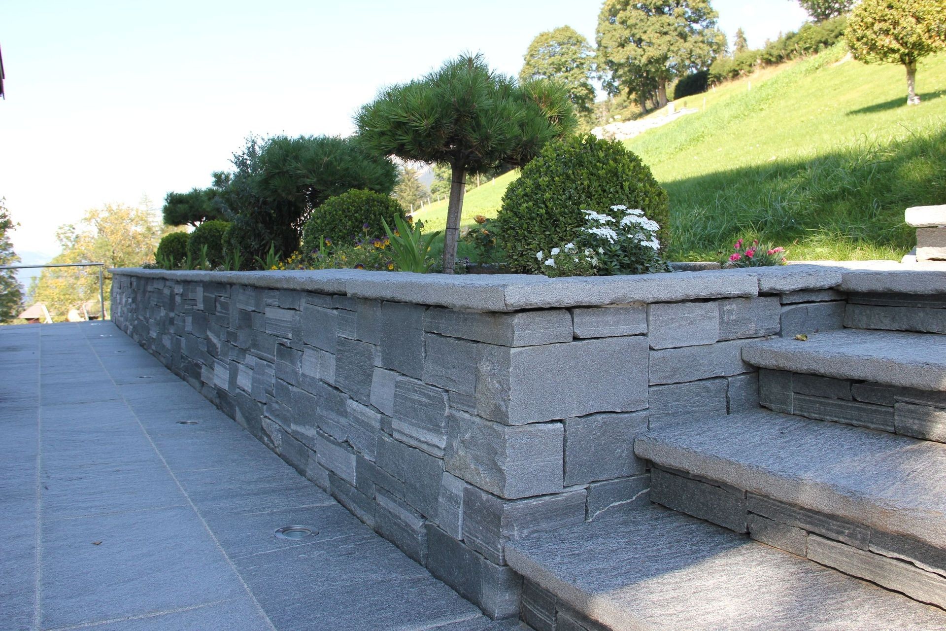 Bilder Bowee Gartenbau AG