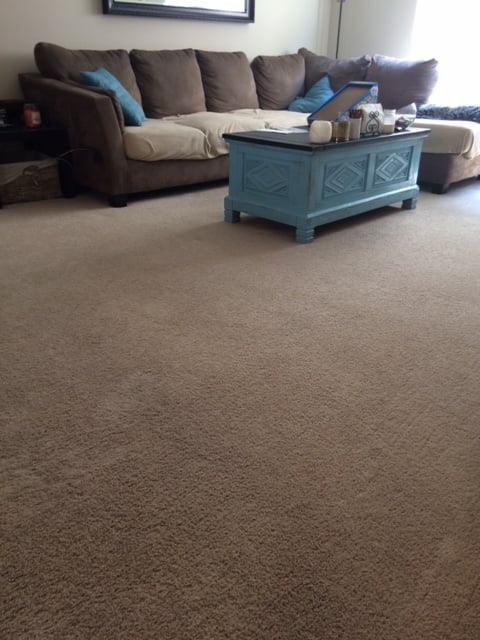 Heaven's Best Carpet Cleaning Photo