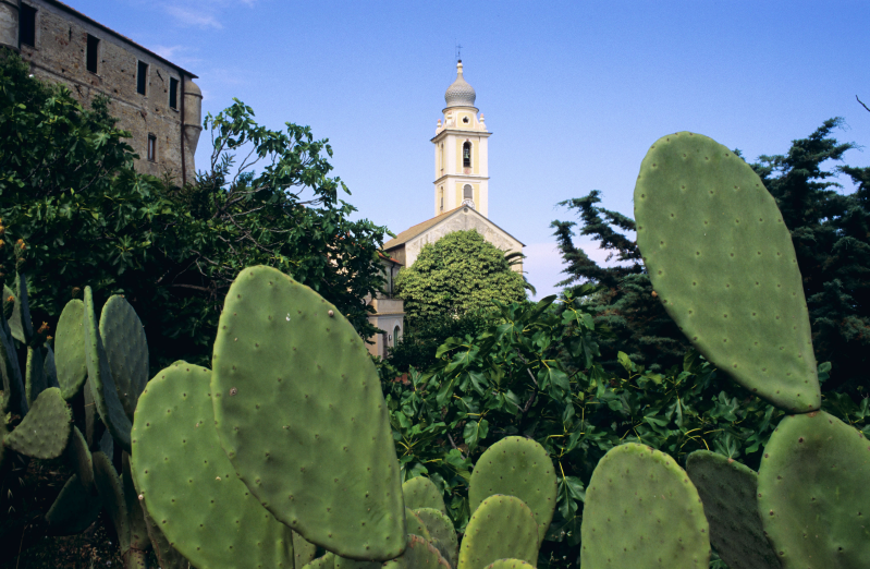 Images Agenzia immobiliare Merula