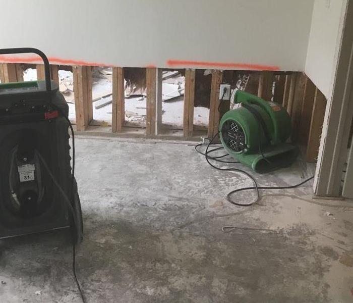 Mold Remediation After