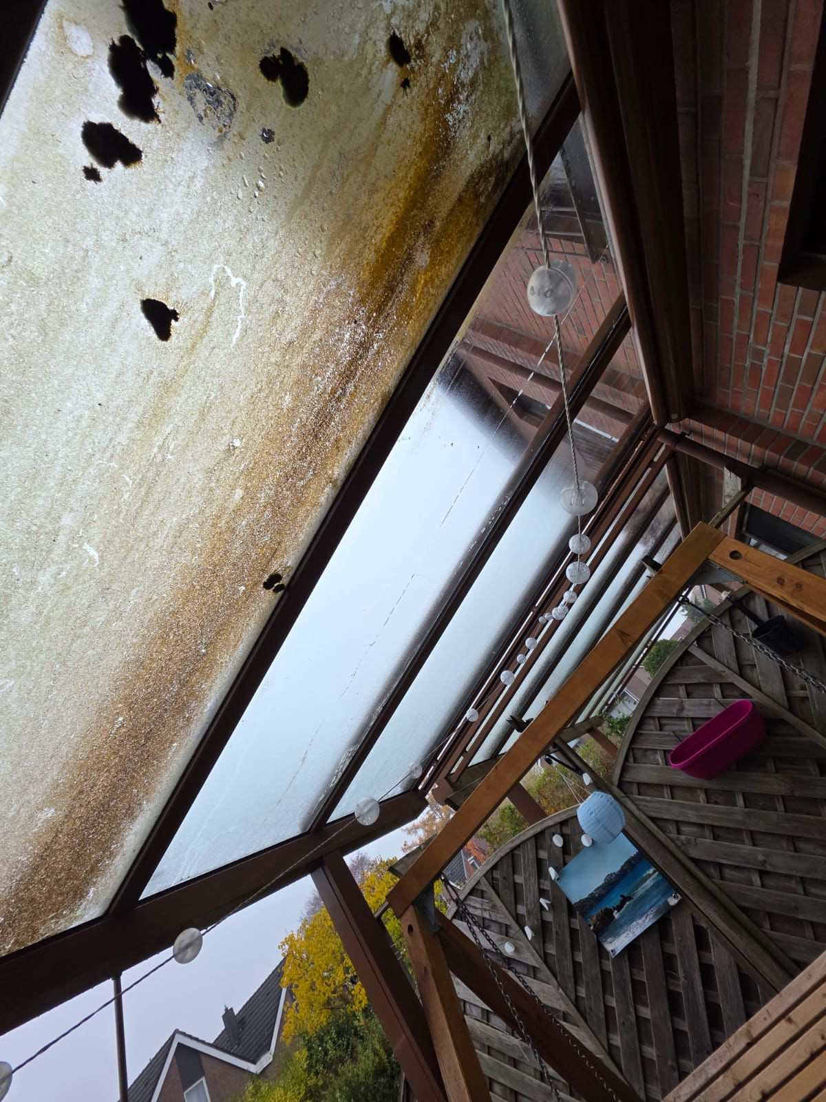 Haushaltshilfe Oldenburg, Feldahornweg 27 in Oldenburg