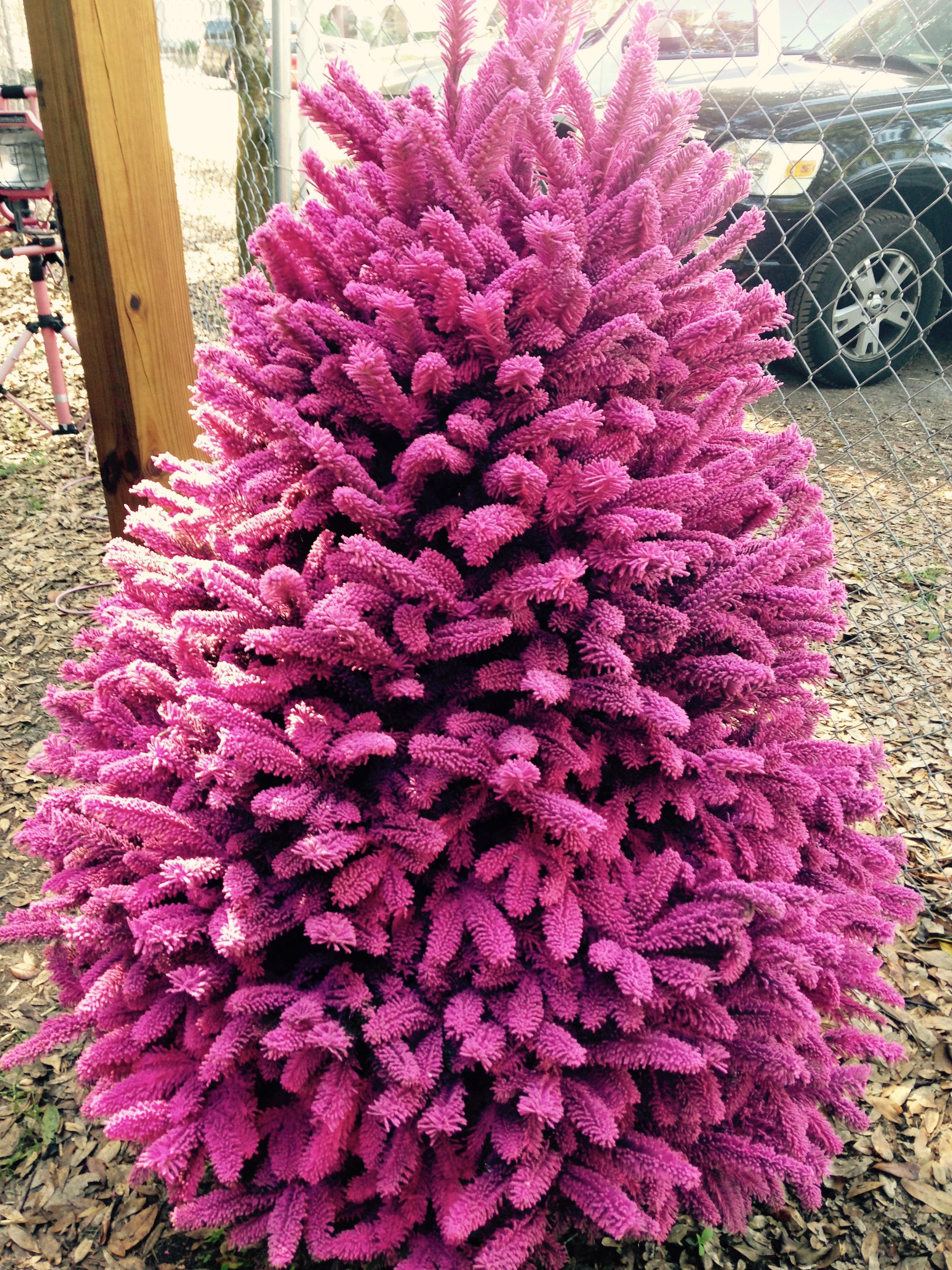 Brilliant Eye Popping- Pink flocked Christmas tree