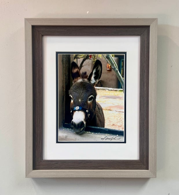 Images Gallagher's Gallery and Framing