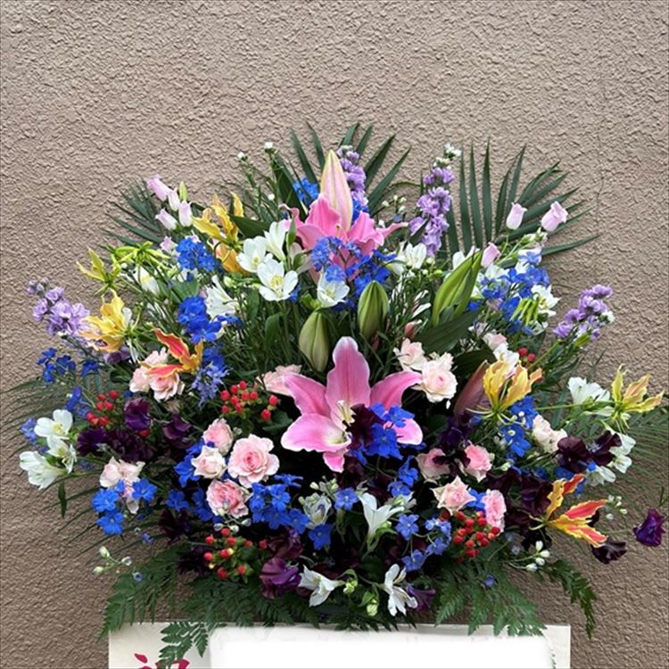 Images 花年