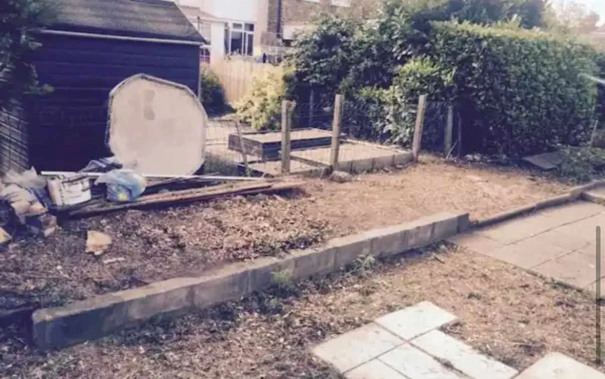 Images Tree Doctors & Landscaping