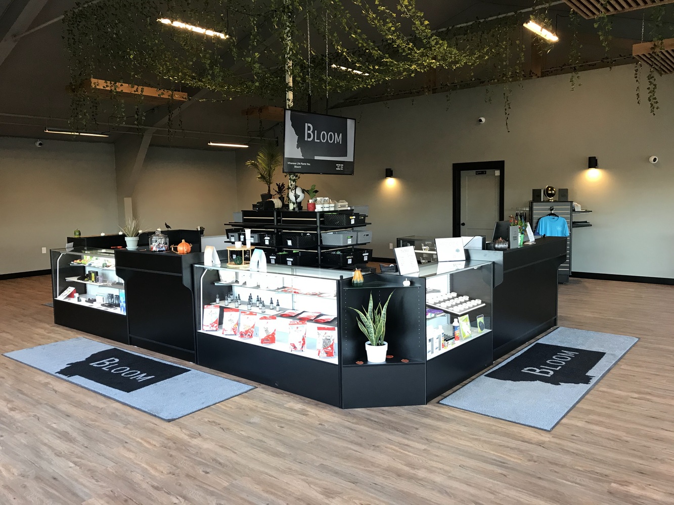 Bloom Marijuana Dispensary Evergreen