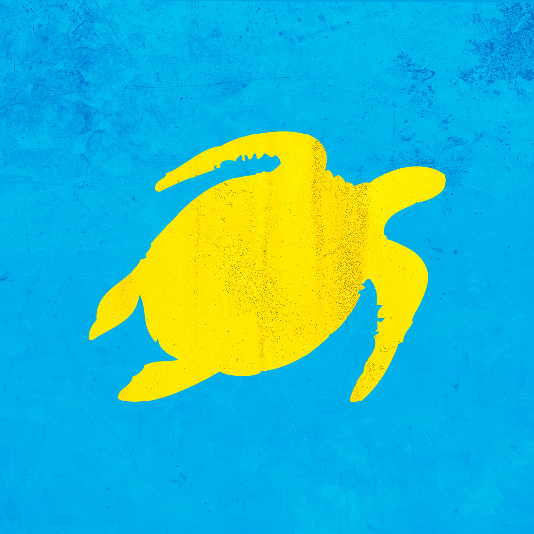 Turtle Bay Blackpool Logo