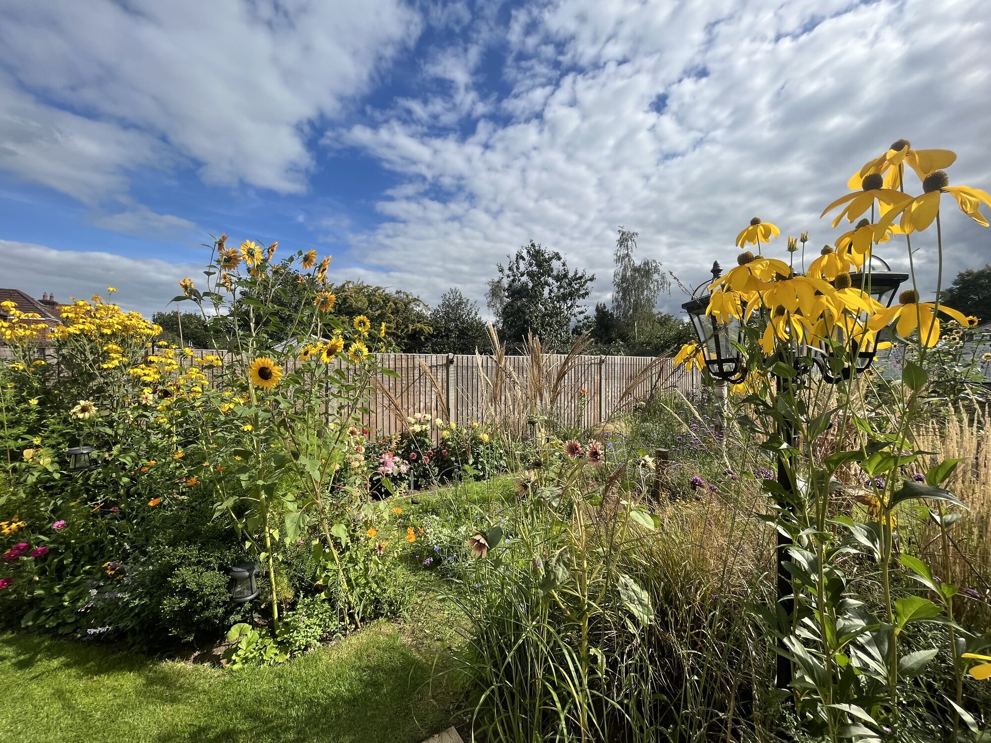 Images Steve Dean Gardening