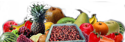 Images Ricci Franco e Figli