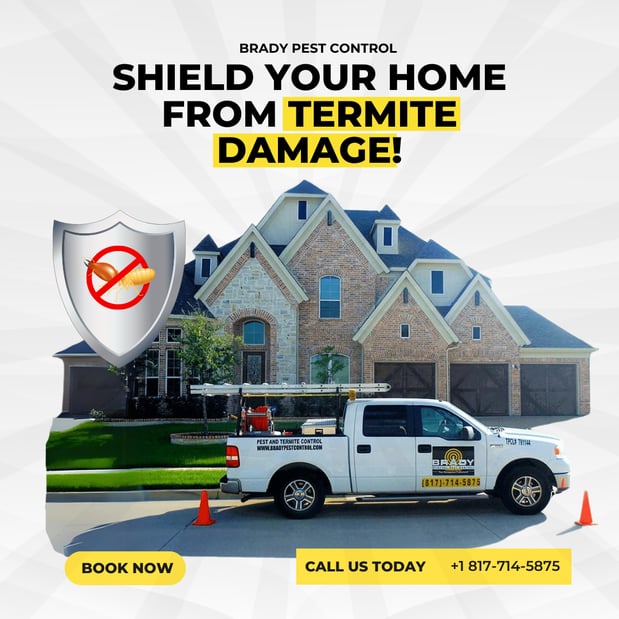 Images Brady Pest Control
