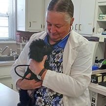 Images awesome care veterinary and laser center