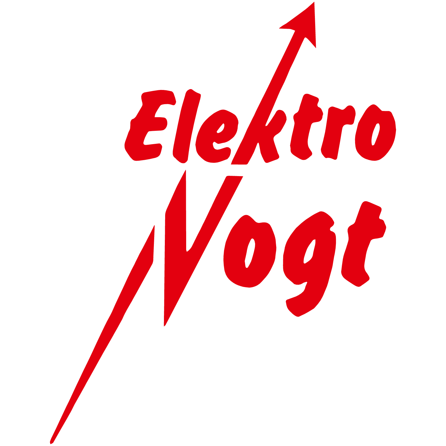 Elektro Vogt GmbH & Co. KG  