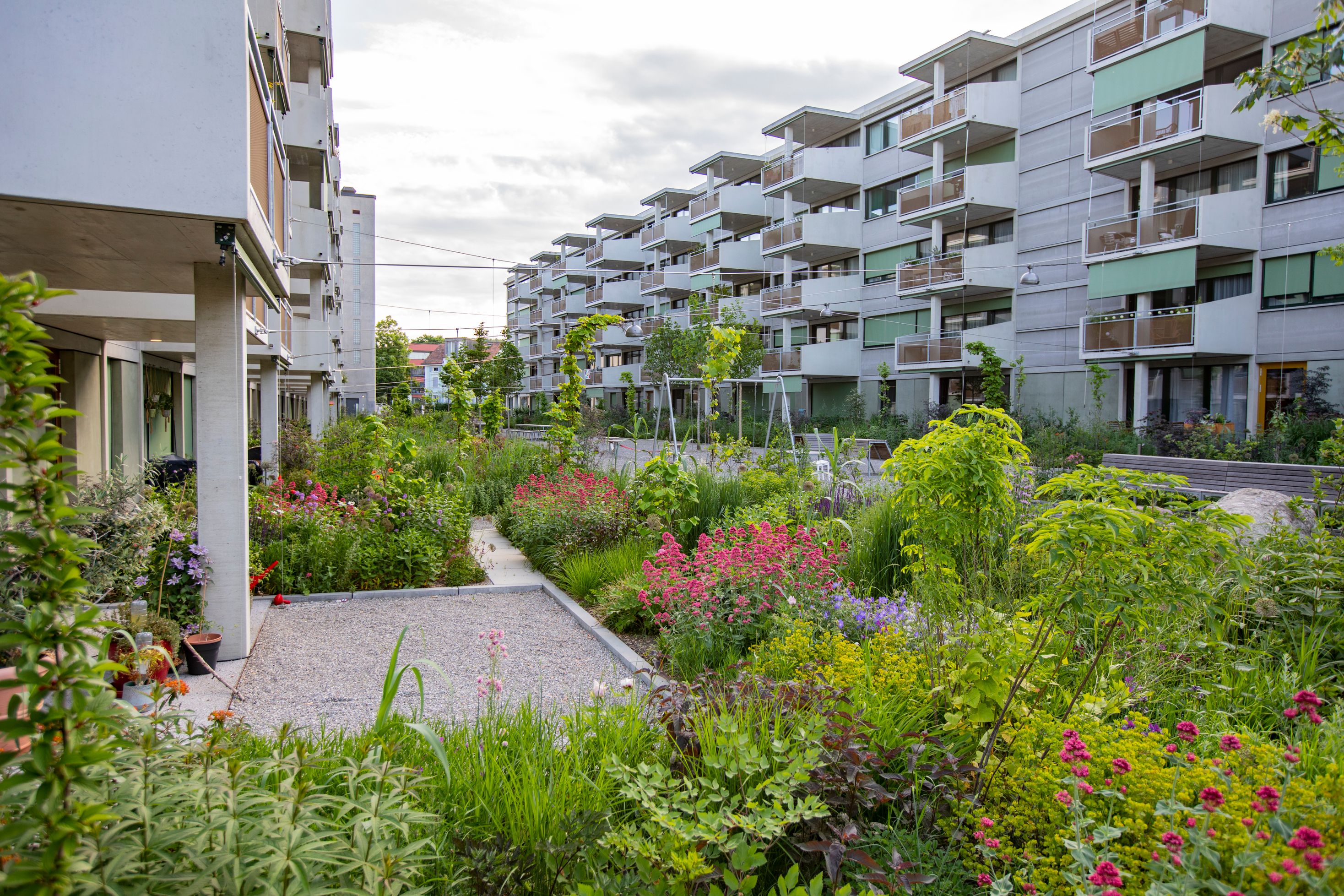 Bilder Göldi AG Gartenbau und Sportplatzbau