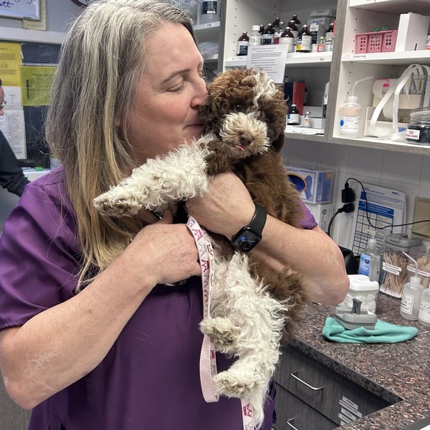 Images VCA Peone Pines Animal Hospital