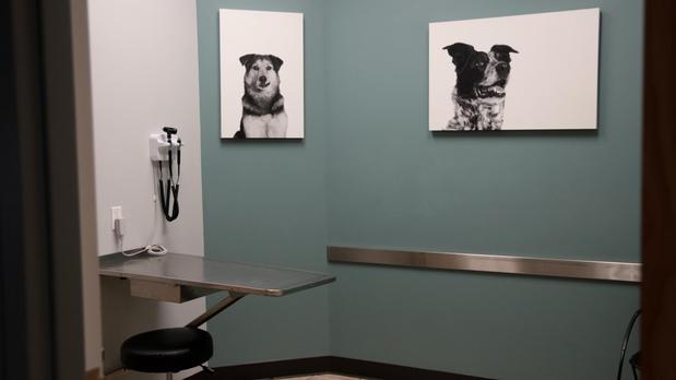 Images VCA Alameda East Veterinary Hospital