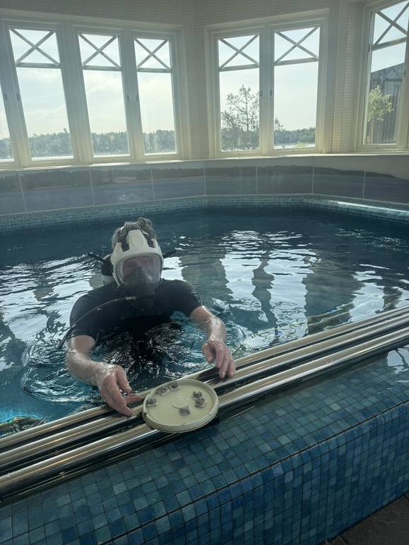 Images Bassängvård AB